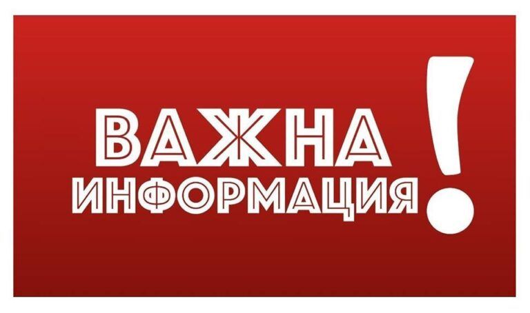 Организация на деня след президентски избори - голяма снимка